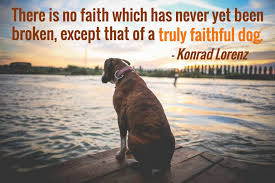 Faithful Dog